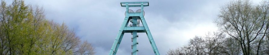 Kopf_Deutsches_Bergbaumuseum